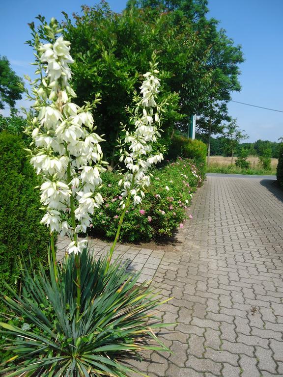 Das Fritz Hotel Schwerin Schoene Lage Im Gruenen Mit Regionaler Kueche Kostenfreien Parkplaetzen Und E Ladestation Ngoại thất bức ảnh